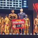 로그피트니스 네이버블로그