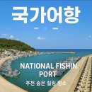 오름푸드 경북 | 어항&#34; 비교 - 영덕 &#39; 구계항 &#39; / 울진 &#39; 구산항 &#39; , &#39; 사동항 &#39; / 삼척 &#39; 장호항 &#39; / 화성 &#39; 궁평항 &#39; 후기