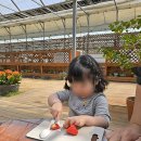 아침농원 이미지