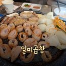 [배곧 맛집] 쫀득한 배곧 곱창 &#34;일미곱창&#34; 후기!!