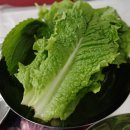 삼평식당 이미지