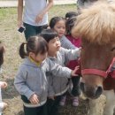 진흥축산 - 제주시 용문로12길 12 | 진흥축산