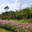 태진목장 이미지