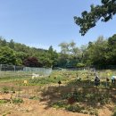 양천농장 이미지