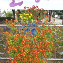 신안주공3차아파트 이미지