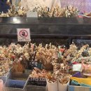 설빙 은행사거리점 | [전주]전주여행 필수코스 한옥마을 한복체험｜일상애에서 커플 스냅 찍기