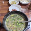 시화카에어컨모터스 | 목포 2Day | 조선쫄복탕, 시화골목길, 목포해상케이블카, 고하도