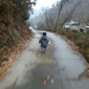 예산느티나무캠핑장 이미지