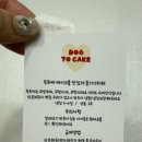 도그투케이크 이미지