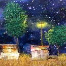 별이빛나는밤에 이미지