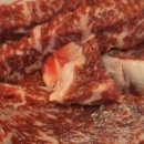 림바발리스 이미지