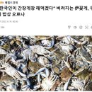 꽃게나라 이미지