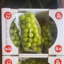 대간물농장 이미지