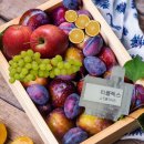 베이피움 - 강남구 삼성로85길 42 | 베이피움