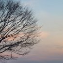 <한정선> "멜론요거트찹쌀떡, 생딸기두바이찹쌀떡" 후기욤(+내돈내산, 솔직후기)