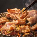 불막열삼 이미지