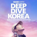 셀럽다이브