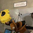 카페앨리스 이미지