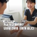 모바일 신분증 사용처 총정리 은행, 병원, 편의점, 공항까지