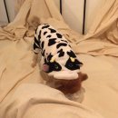 백천3동 이미지