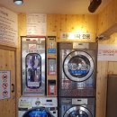 예스 운동화 빨래방 | 남양주 화도읍 스키장마을 24시 셀프 빨래방 버블에서 카페트 세탁하기