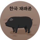 돼지 이미지
