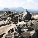 문암2리항 이미지