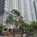 종암로(동측) 이미지