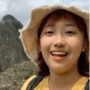 와이빠 네이버블로그