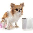 뉴케어동물병원 이미지