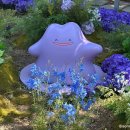 [보라매] 메타몽 프로젝트 : 메타몽 가든 (6월 22일까지 / 주말 웨이팅 후기)