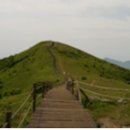 새밭야영장 이미지