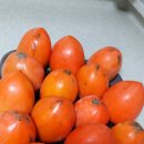 자매여인숙 이미지