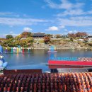 대나무공원 화장실 이미지