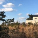 포레스트 펜션 이미지
