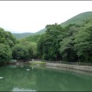 대신공원 Daum카페