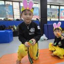 한빛 프리미엄 태권도장 이미지