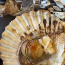 소주창고 | 진주 초전동 무한리필 해산물맛집 조개창고 후기