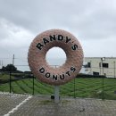 코코스민박 | 여행 #3 랜디스 도넛, 애월 한담해안산책로, 다가미 김밥, 동광리 수국길, 북카페 유람위드북스, 꽃신민박
