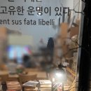 희우재 이미지