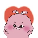 헤어바이정훈