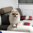 향촌휴먼시아2단지 이미지