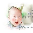 임실앤치즈피자 이미지