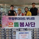 우림 루미아트 이미지