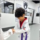 건강한 태권도장 이미지