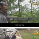 댕댕이# 이미지