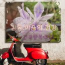 감동, 마음에 건강을 담다 이미지