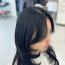 은미용실 | 안산미용실 파슈헤어 | 레이어드컷 장인 은 원장님에게 받은 여자 커트 후기