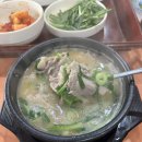중동사거리(메트로병원맞은편) | 창원 중동 맛집 장수촌 24시 돼지국밥 1호점 솔직 후기