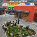 송화초등학교 | 농촌 유학생, 중학교 진학은 어떻게 하나요?